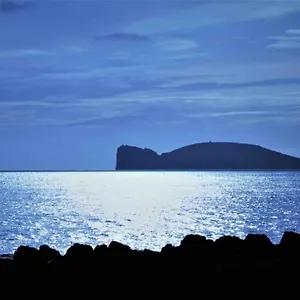 https://alghero-sun-sea-spiaggia-a-50-metri.in-sardinia.net